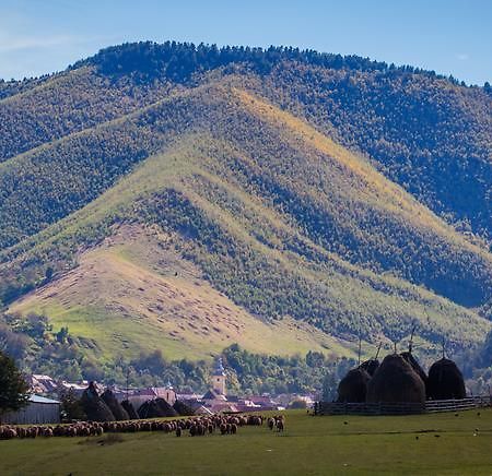 Picturesque Village In Transylvania Rasinari Room photo