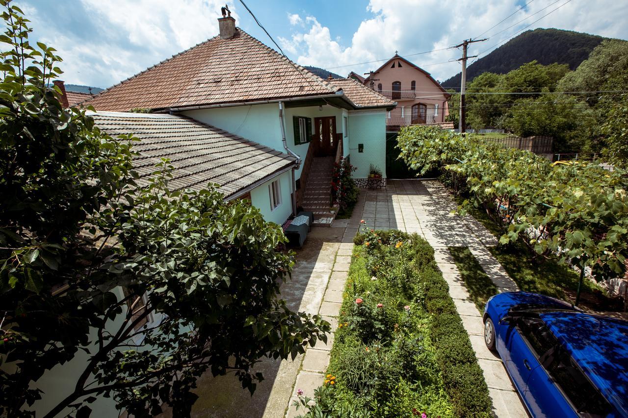 Picturesque Village In Transylvania Rasinari Exterior photo